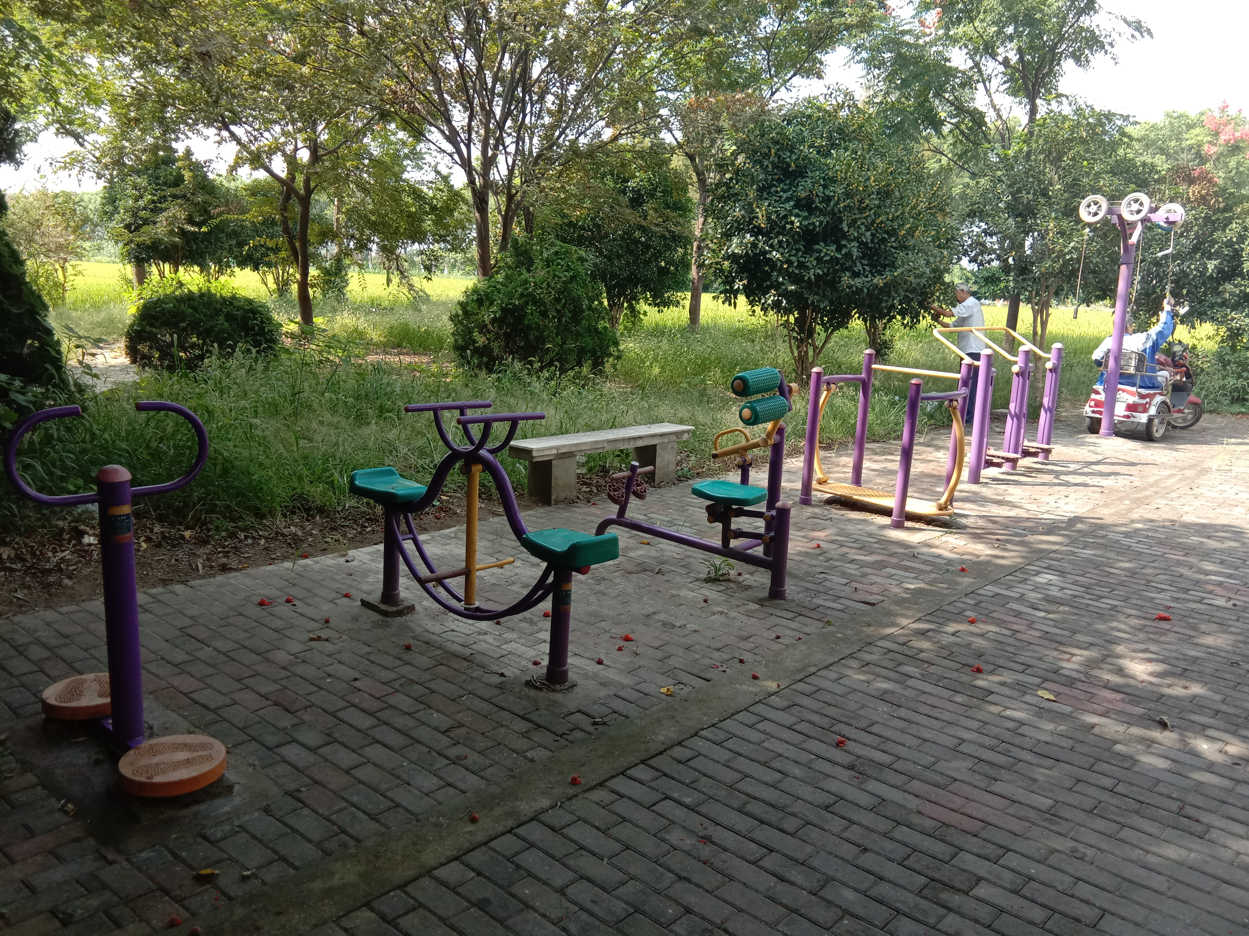 新浜村高家埭健身點