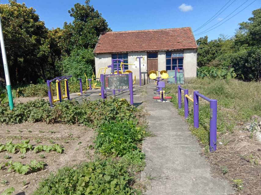 協(xié)隆村濱江10隊健身路徑