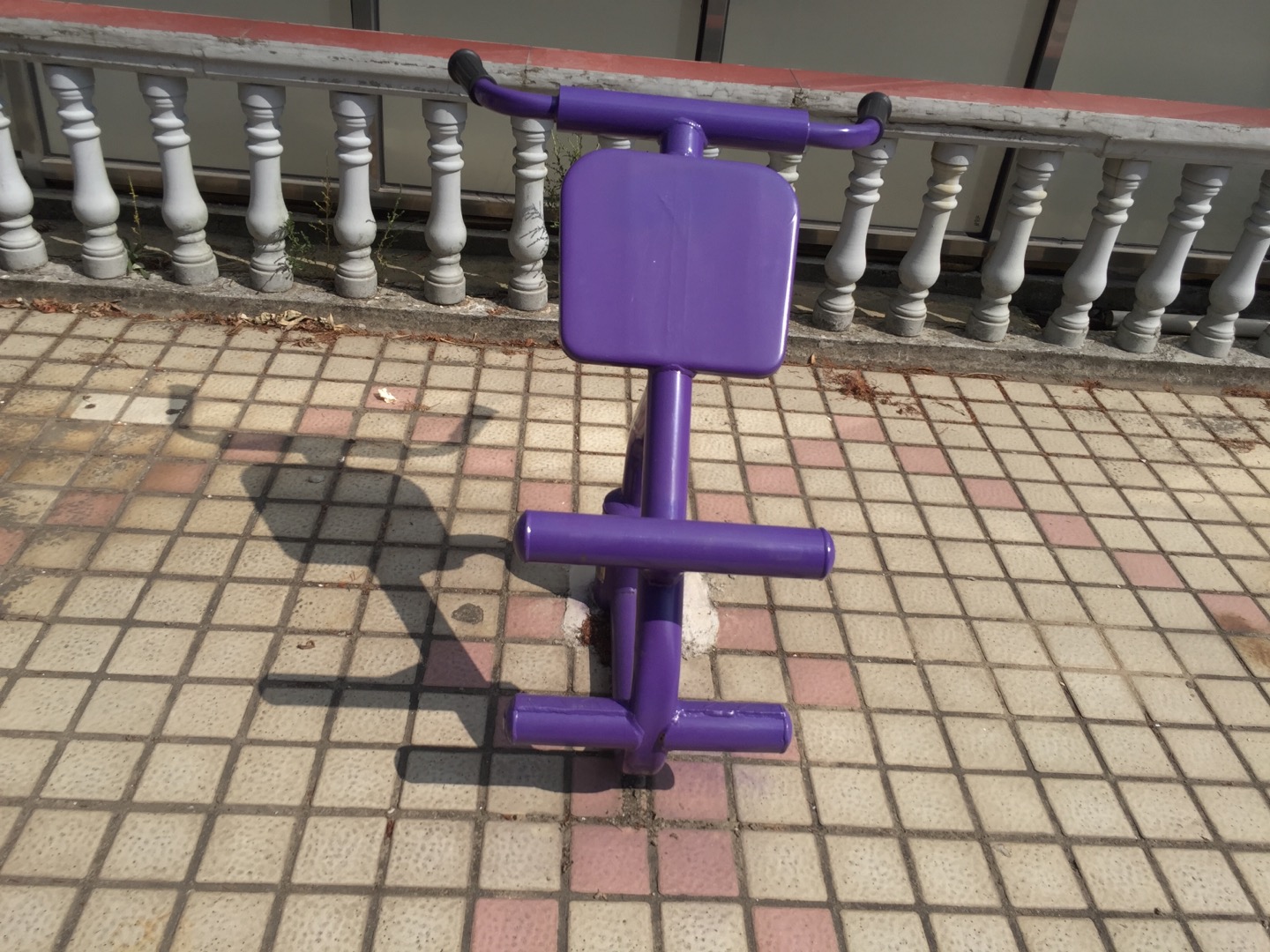 雙位健身車 雙位健身車