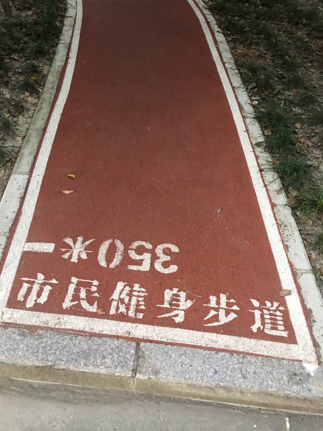 中環(huán)花苑健身步道二