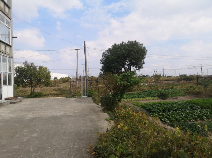 石門九組健身點