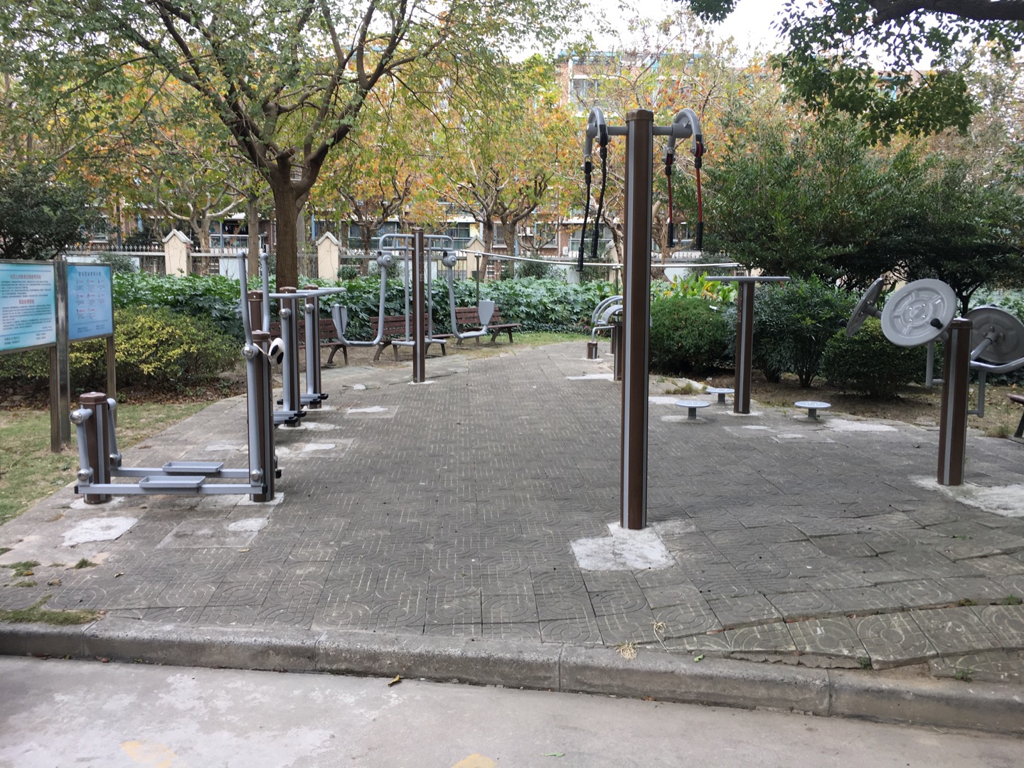 棕櫚苑居委健身點2