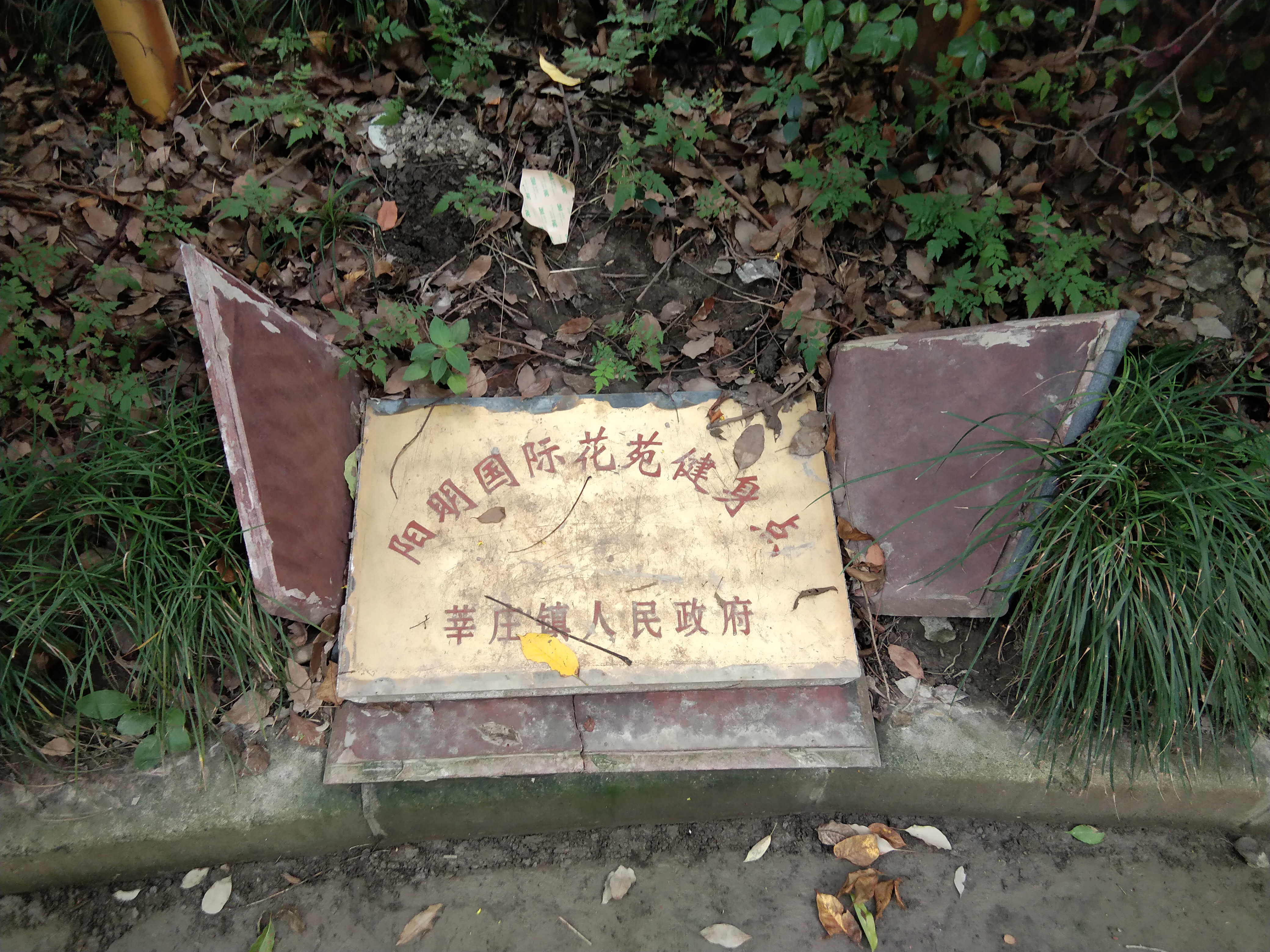 陽明國際花苑健身點B