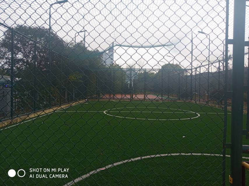 楊行鎮(zhèn)北上海公共運動場