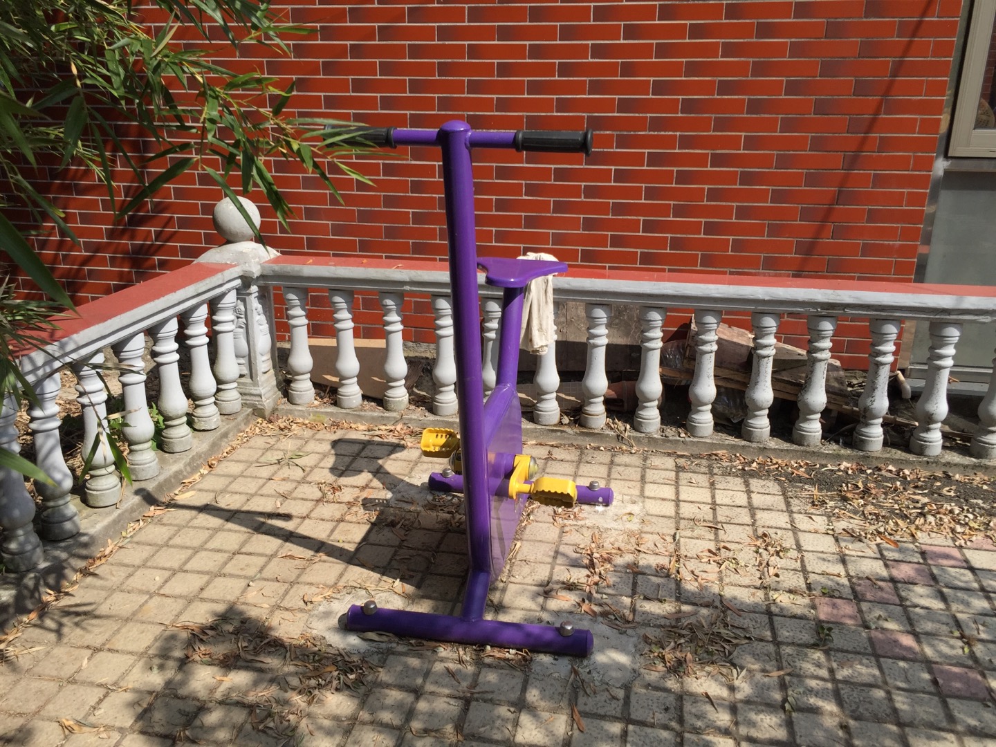 雙位健身車 雙位健身車