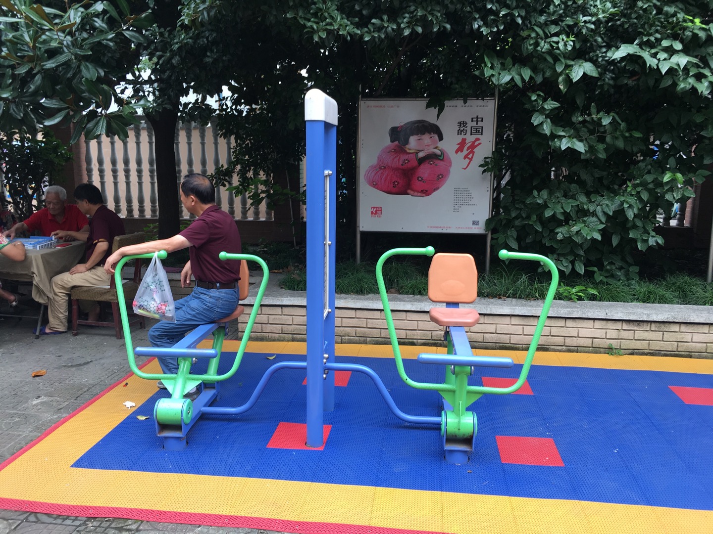 雙立柱平推平拉訓練器 雙立柱平推平拉訓練器