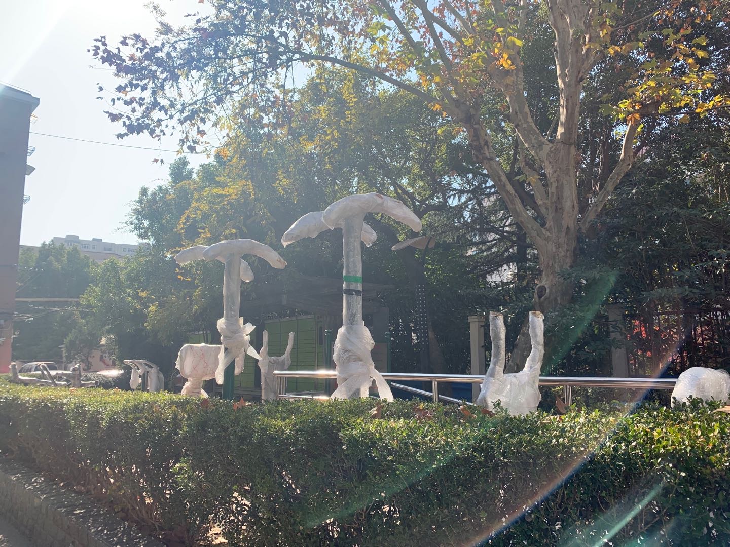 程橋一村市民益智健身點(diǎn)