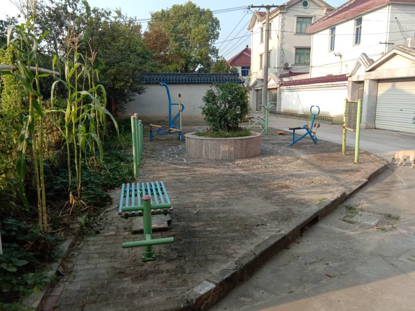 桃園居委會(huì)田園別墅健身點(diǎn)