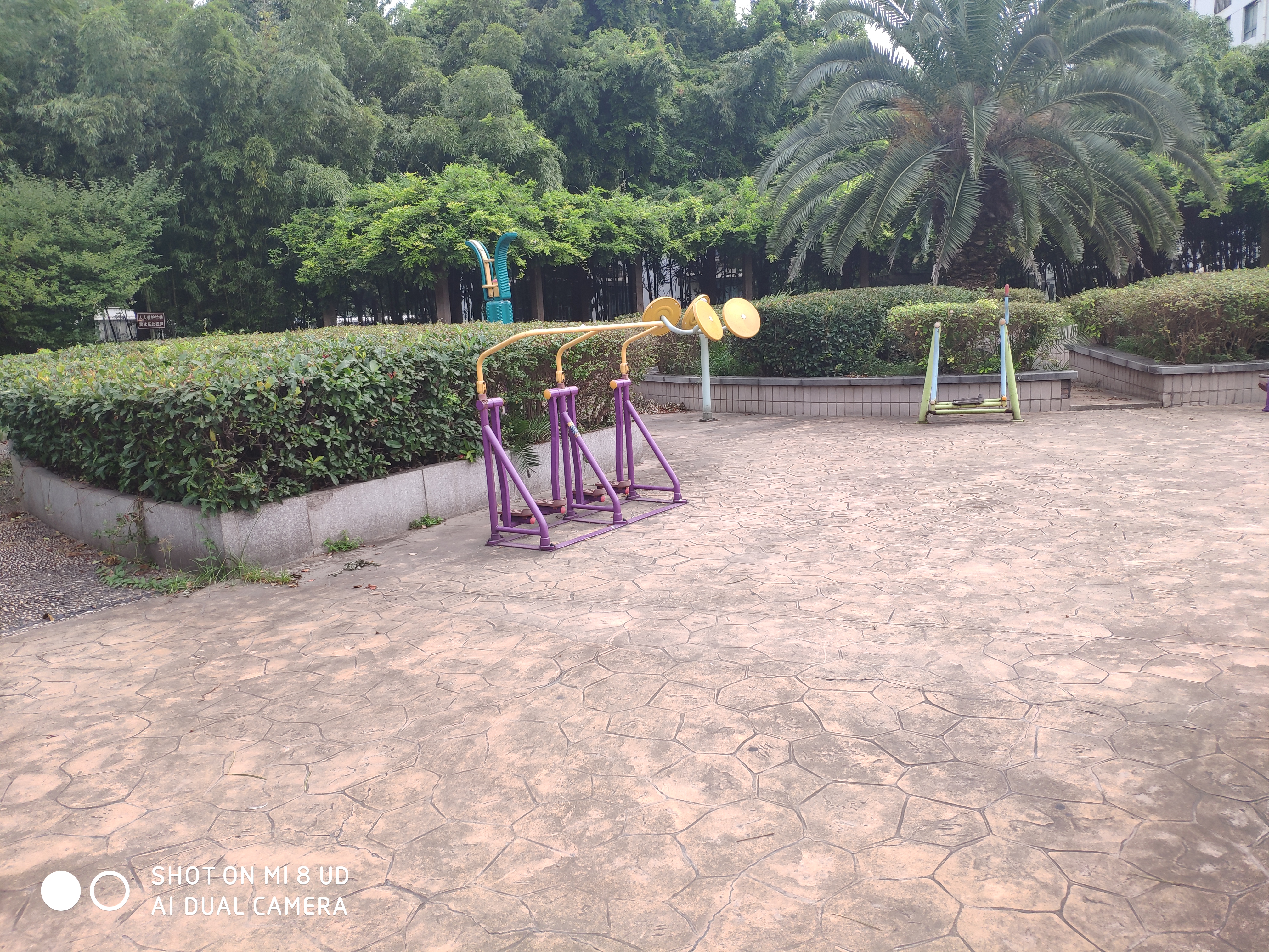 月泉灣健身點(diǎn)