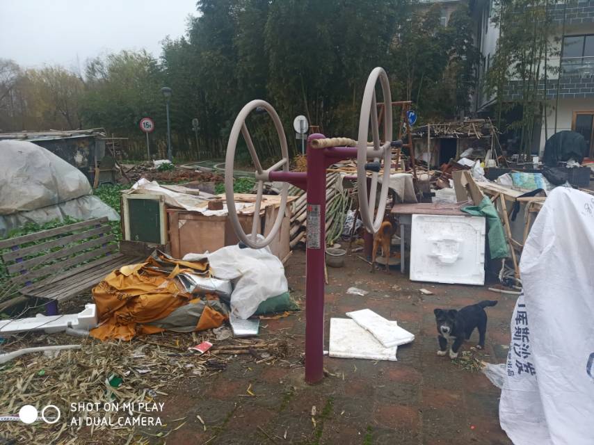 雙人大轉(zhuǎn)輪