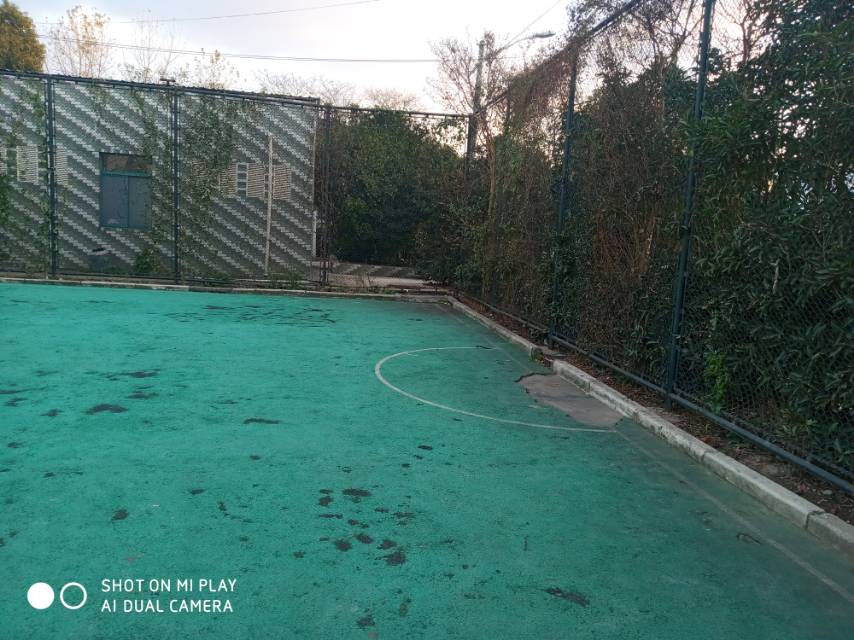 唐鎮(zhèn)虹四籃球場