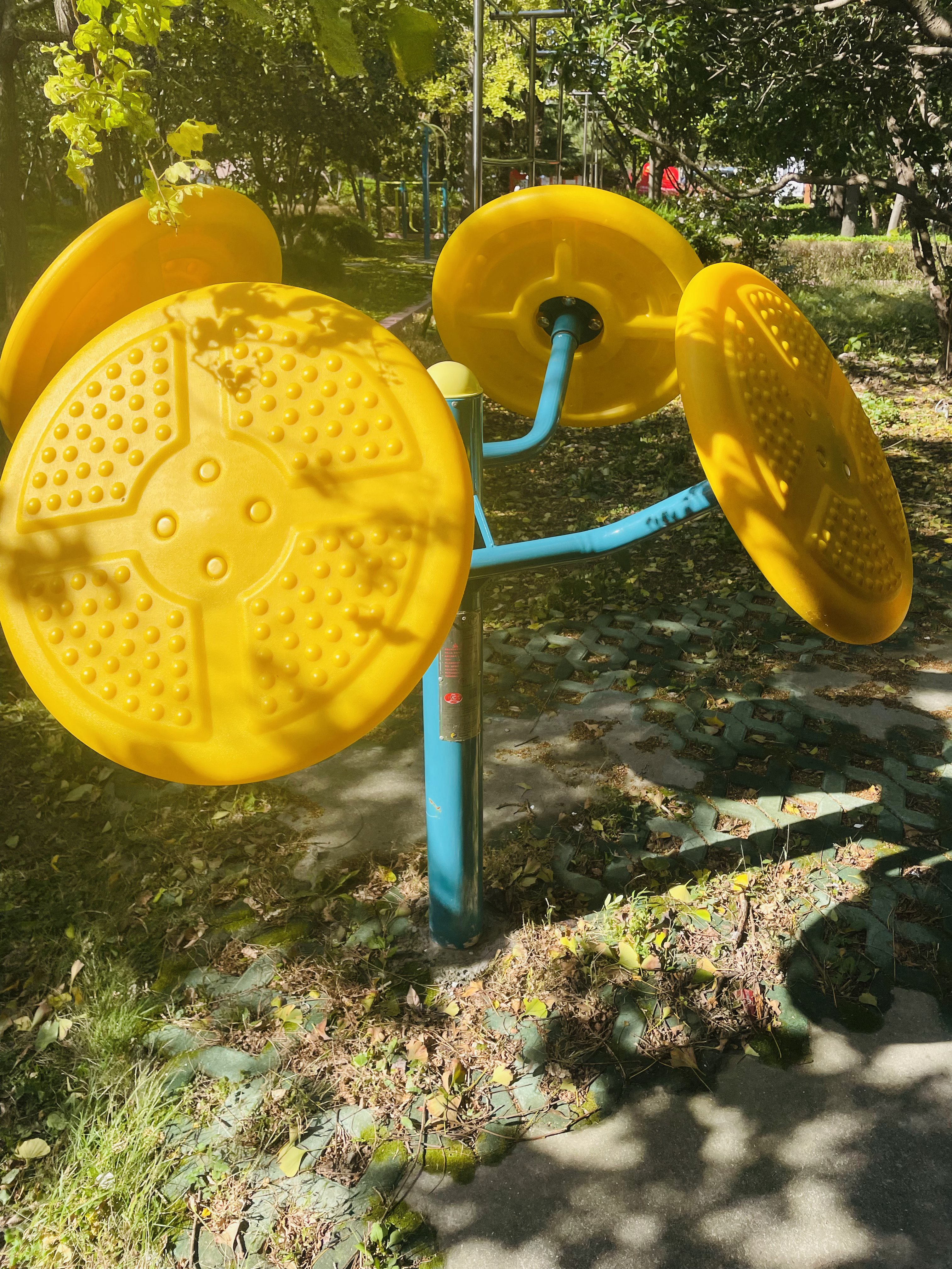 輪盤訓(xùn)練器