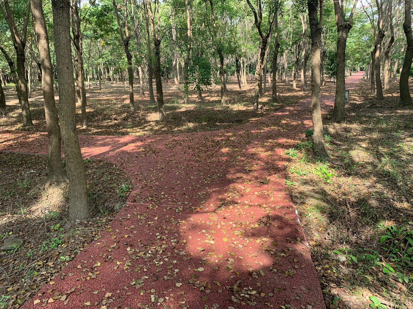 三星鎮(zhèn)育德村健身步道