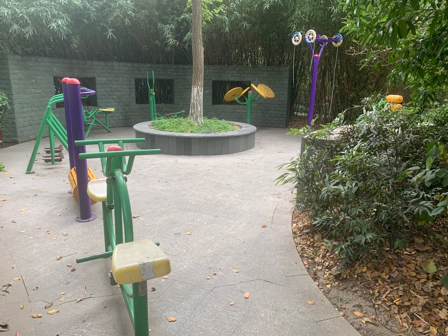 高行鎮(zhèn)華庭居委會(huì)健身苑點(diǎn)2