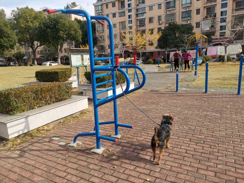 多功能訓(xùn)練器 多功能訓(xùn)練器