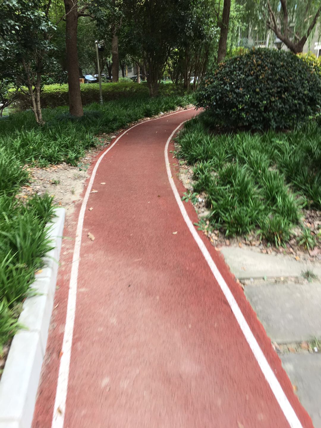 星河世紀城櫻樹芳庭市民健身步道