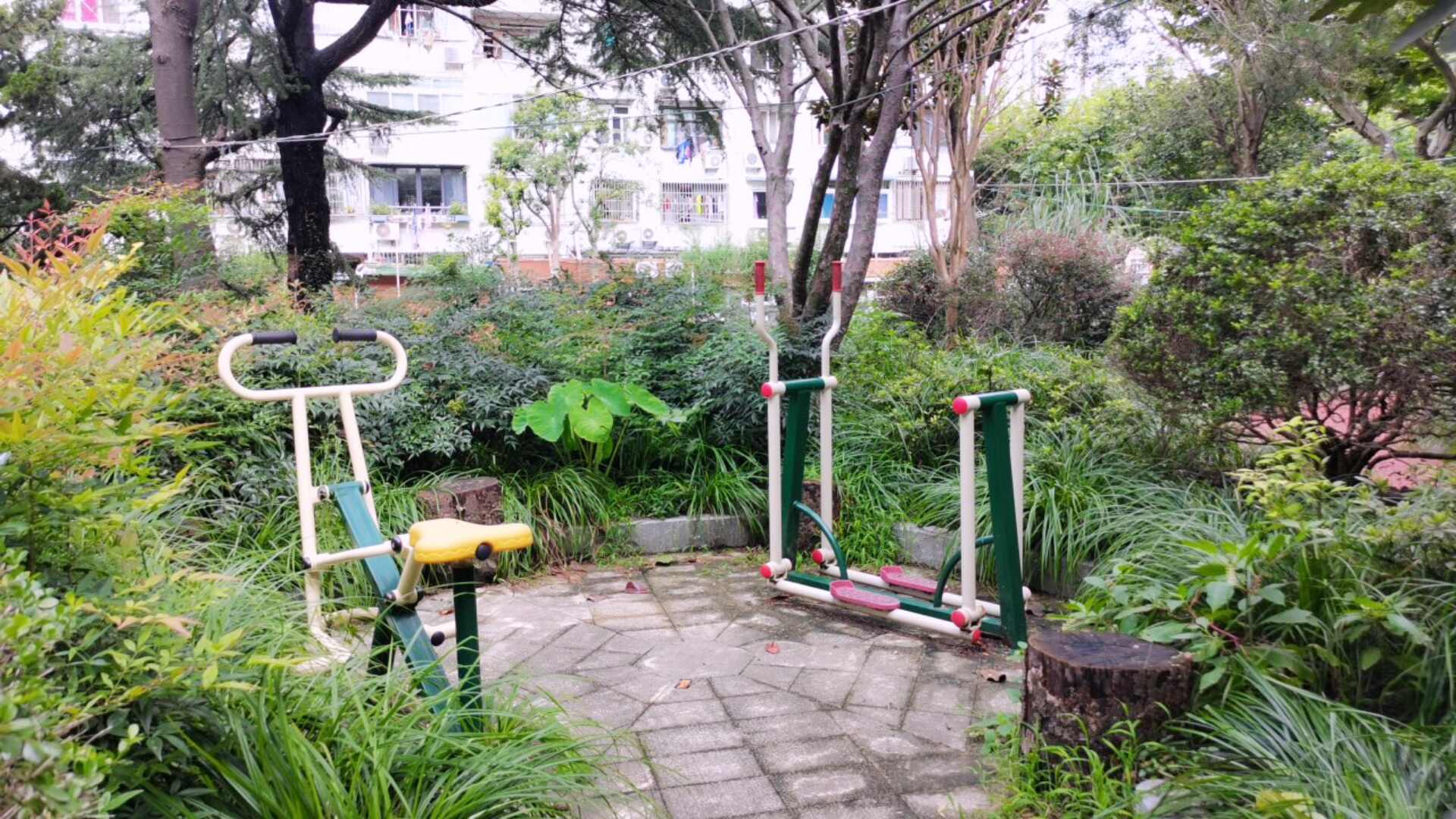 曹楊五村199號(hào)健身點(diǎn)