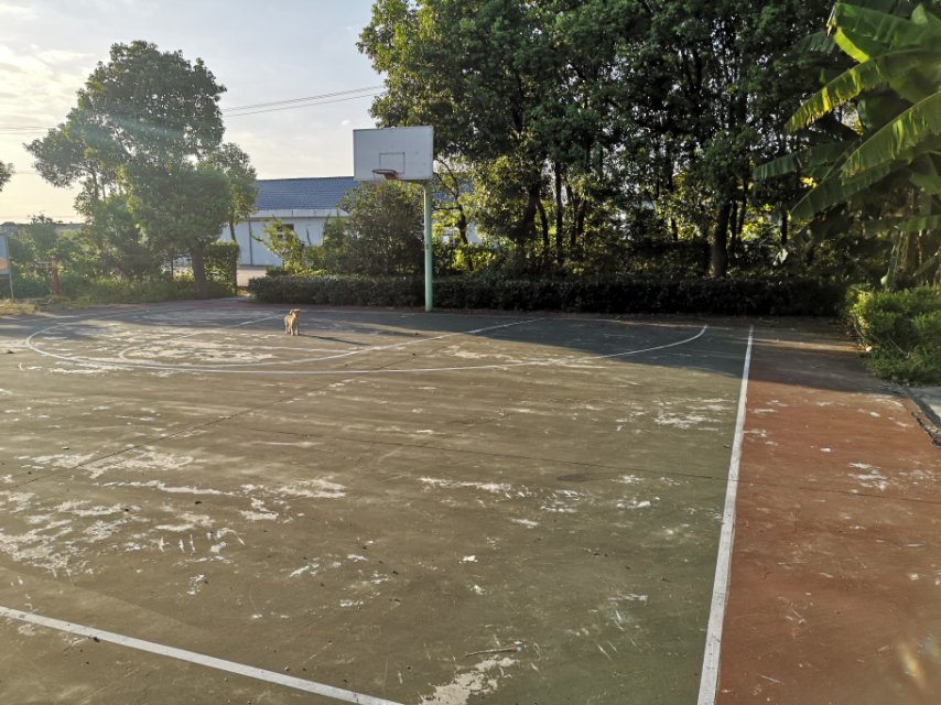 建農村籃球場