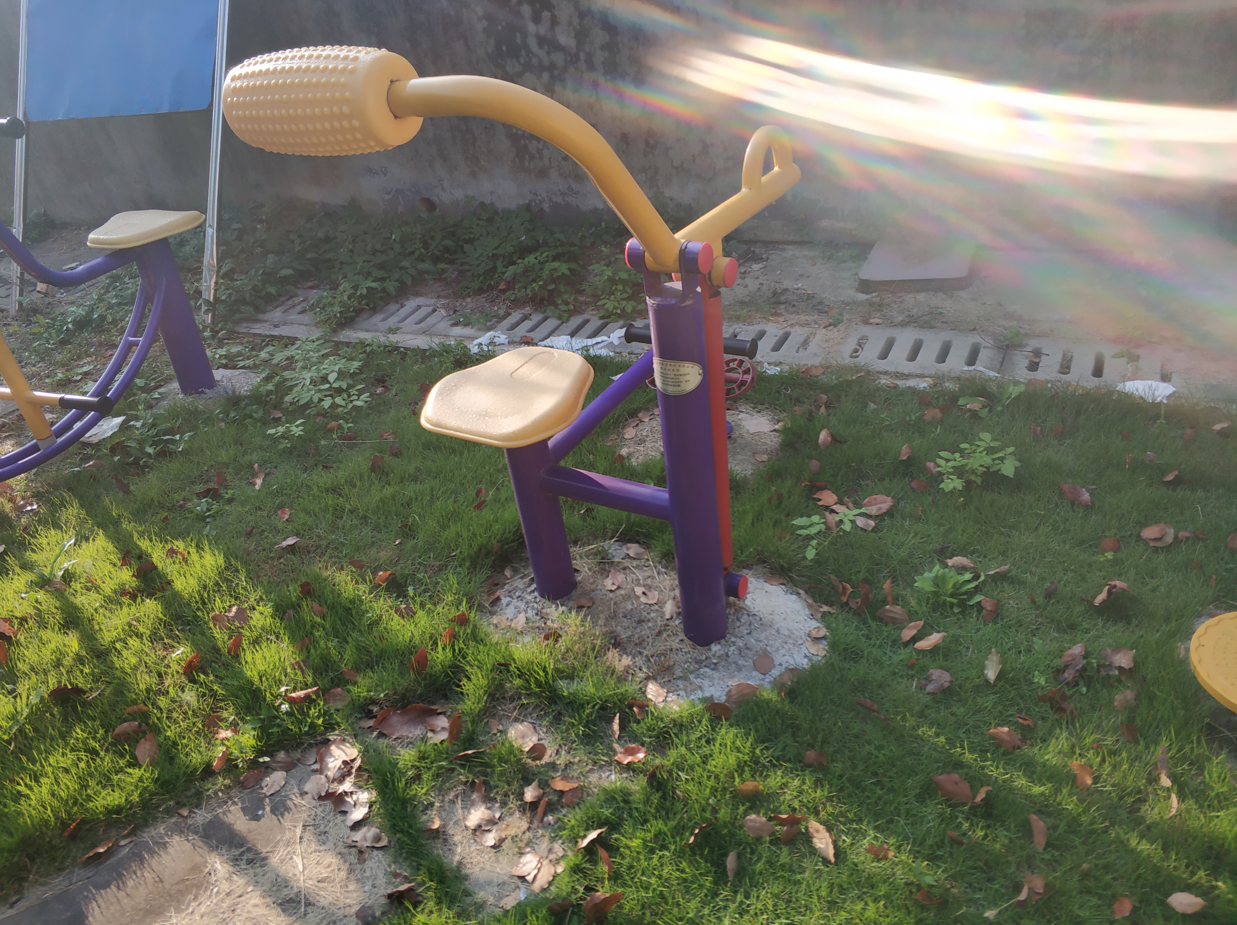 腹背訓練器 腹背訓練器