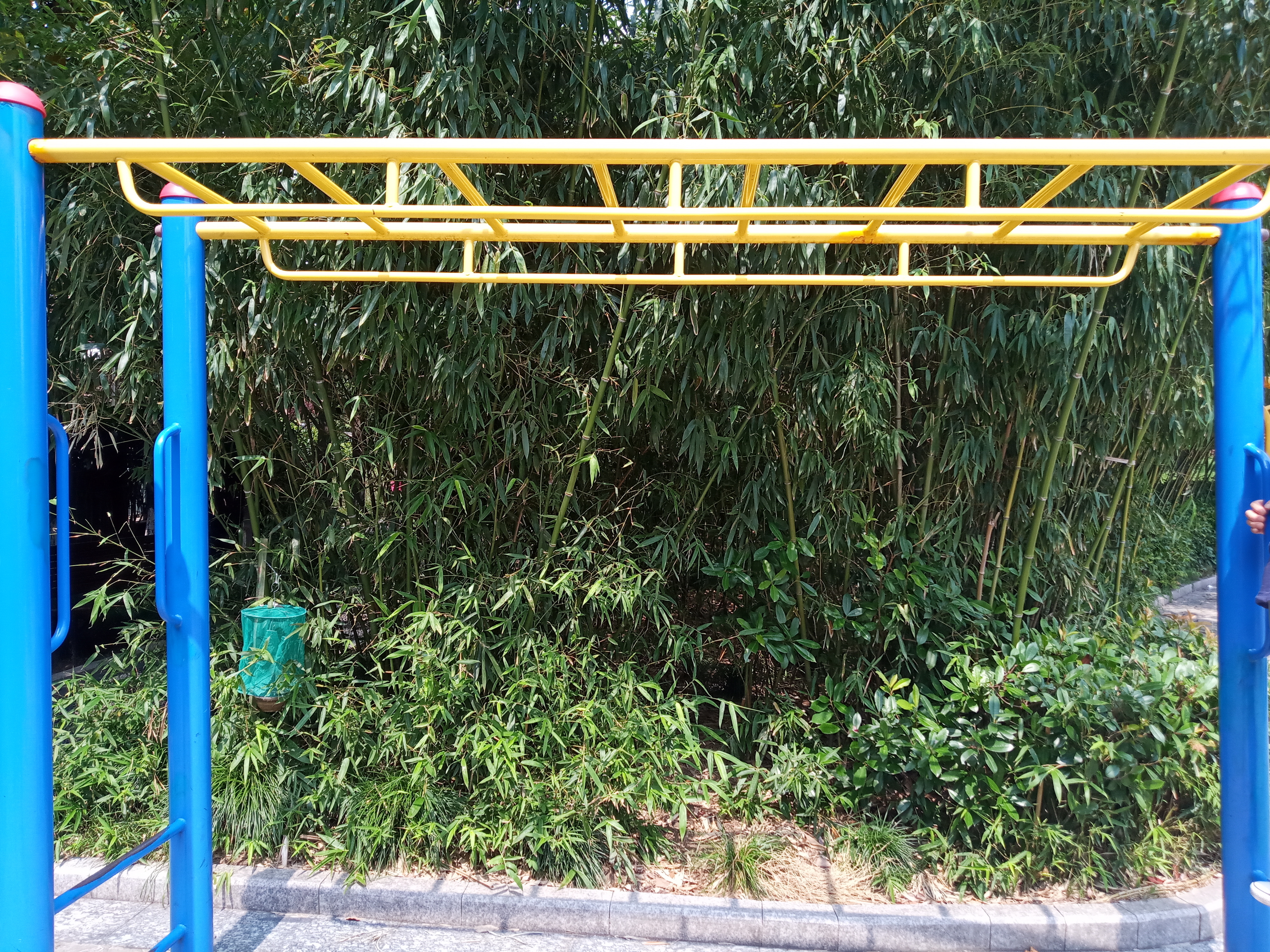 直型云梯 直型云梯