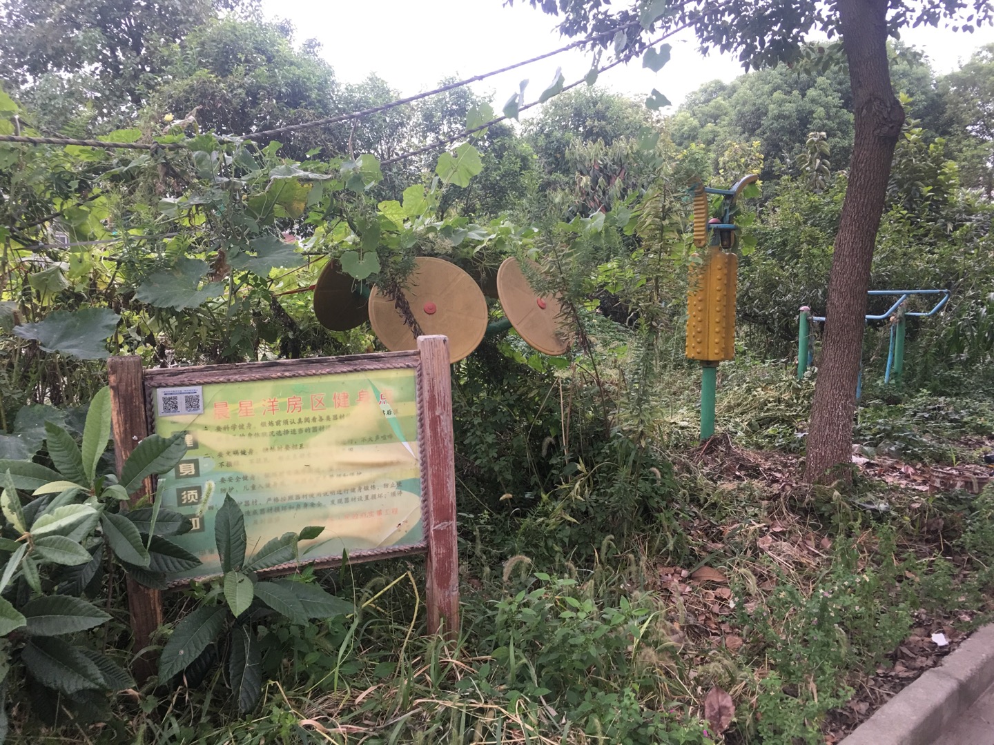 晨星洋房區(qū)健身點