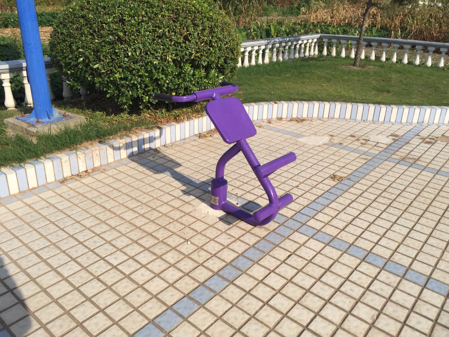 背肌訓(xùn)練器