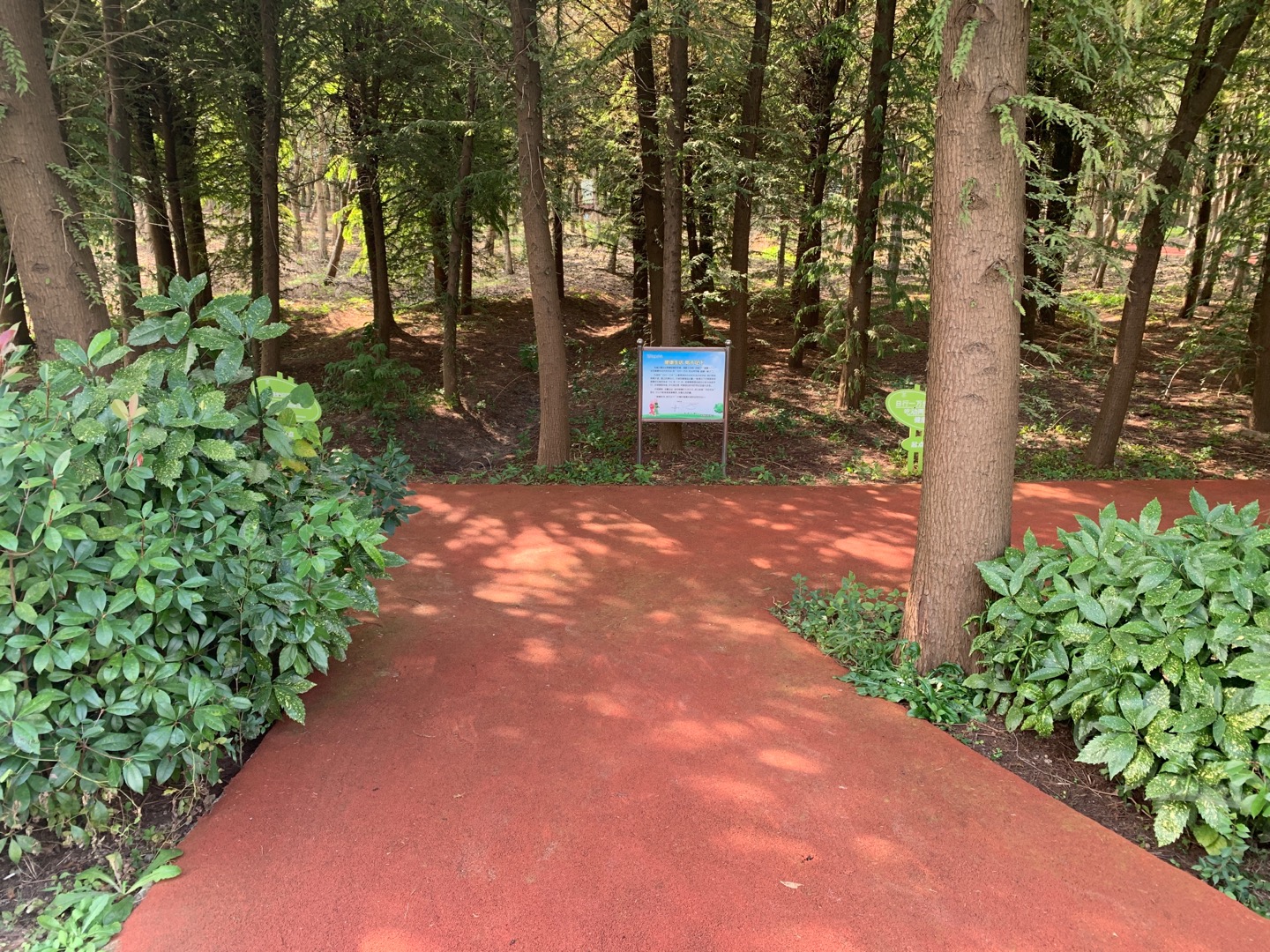 三星鎮(zhèn)沈鎮(zhèn)村健身步道