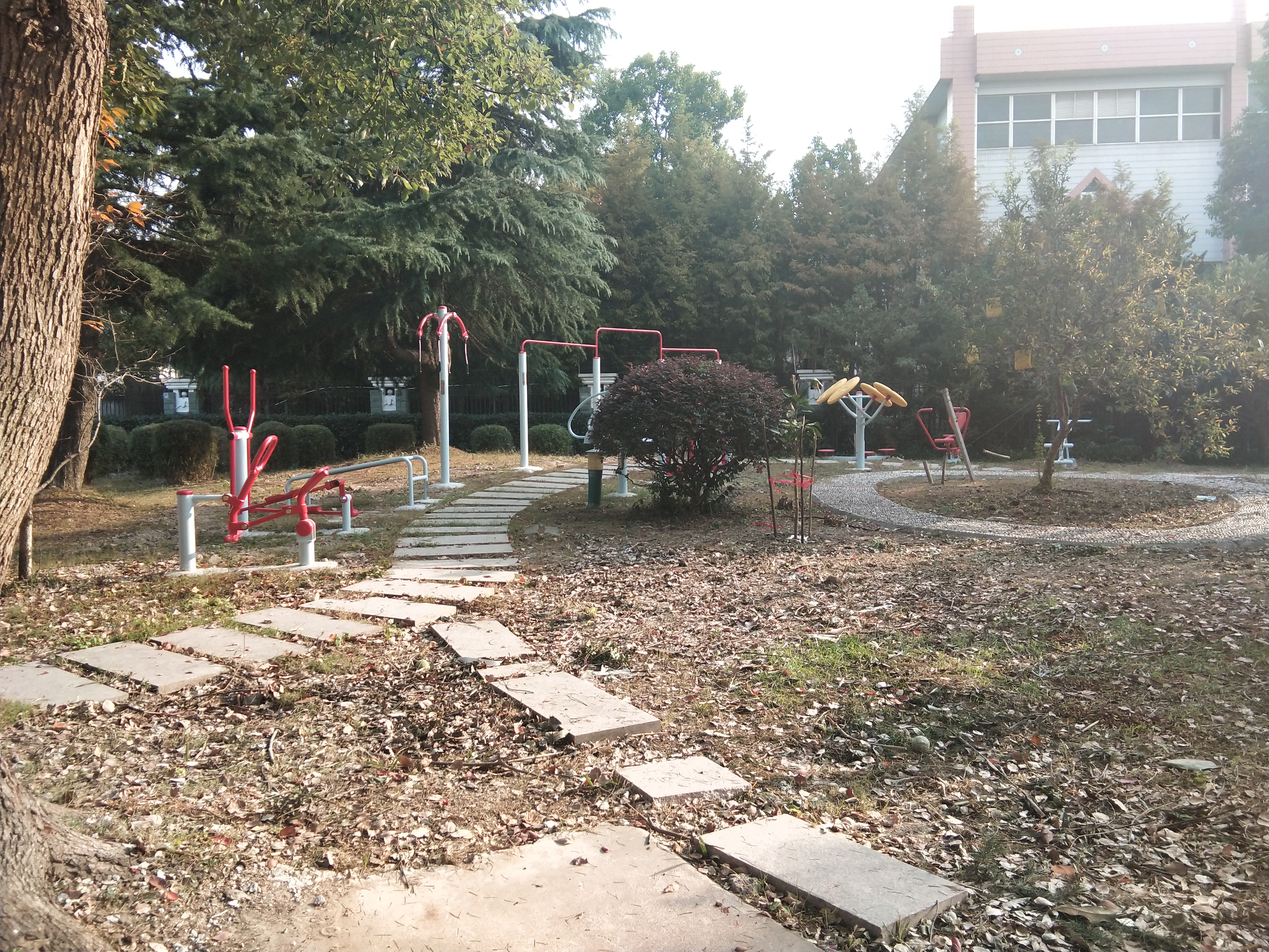 蓮溪一居健身點(diǎn)