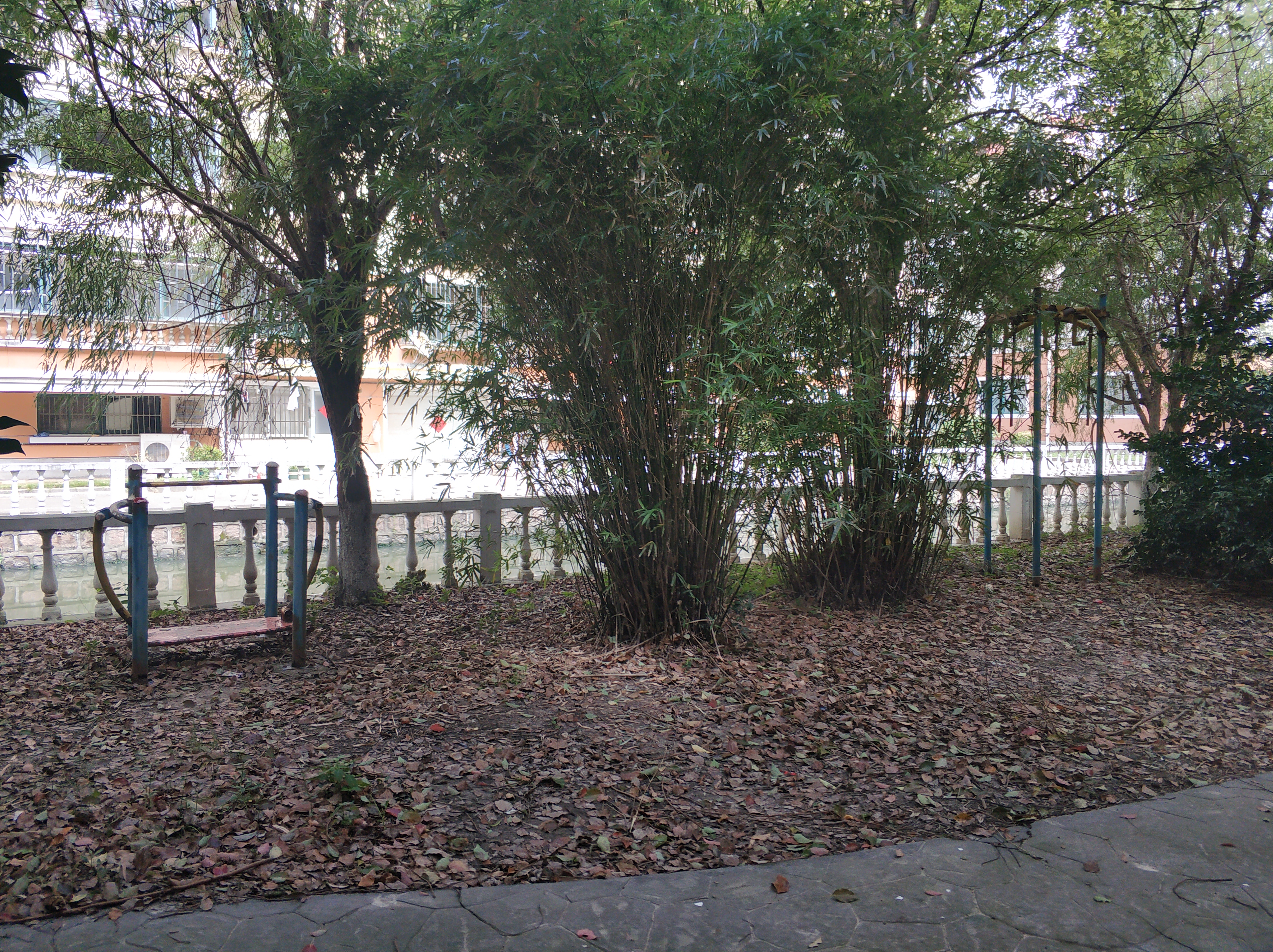 世紀(jì)四村健身點-1