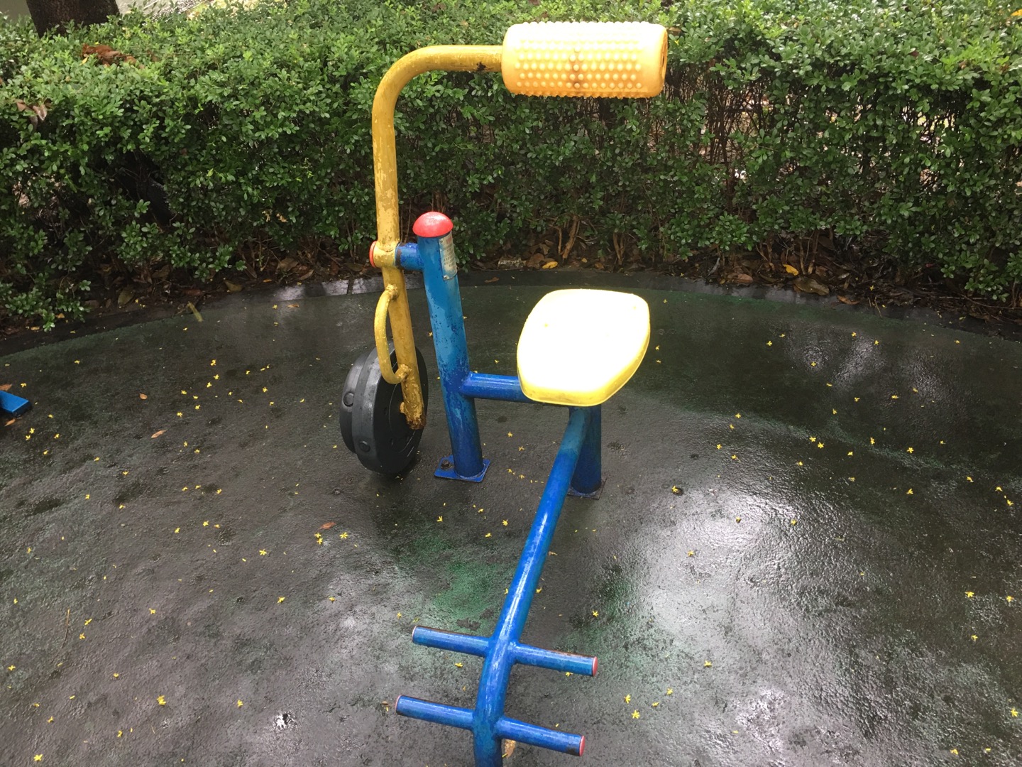 腹背鍛煉器 腹背鍛煉器