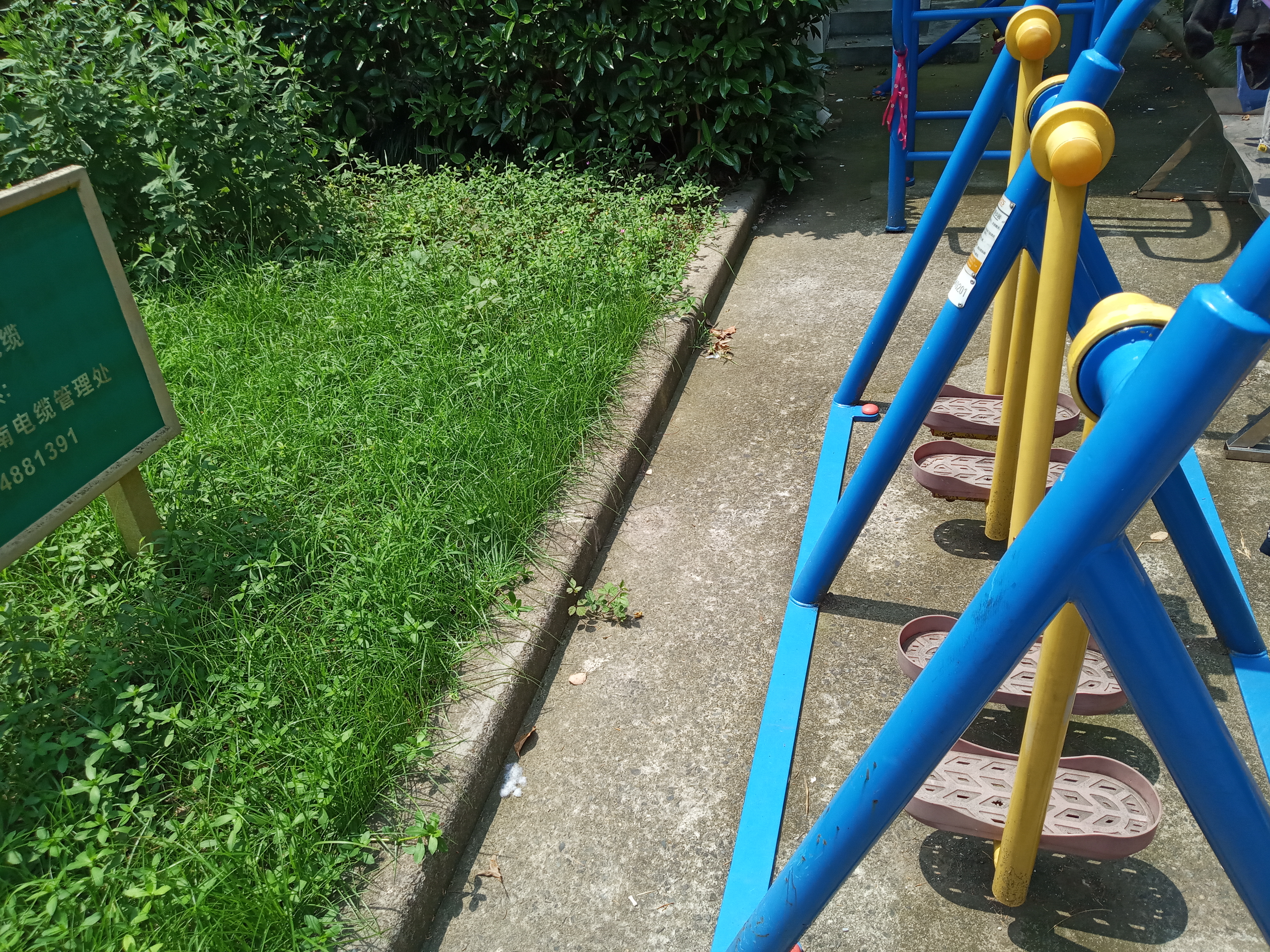 雙人漫步器 雙人漫步器