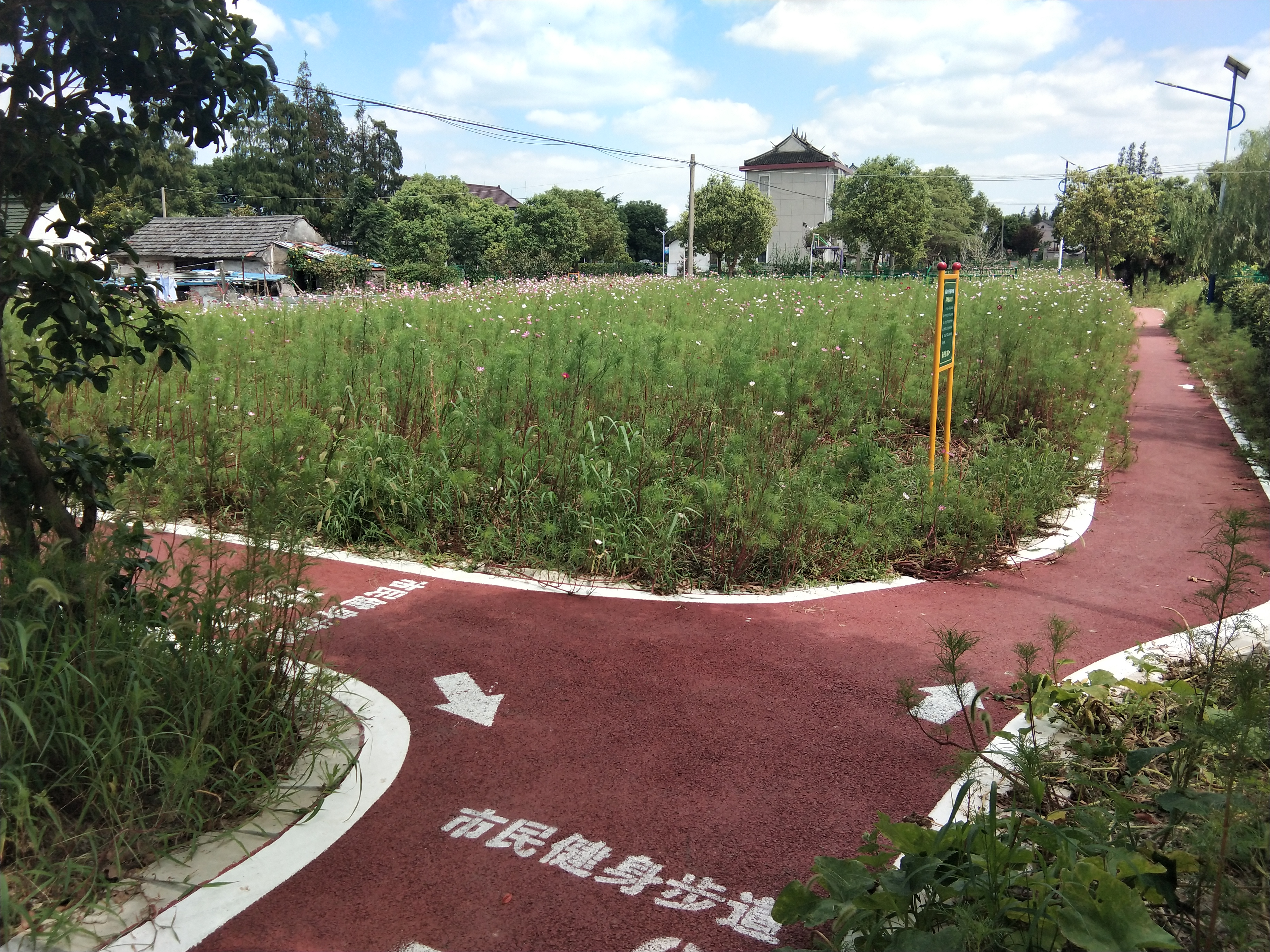 新巷村市民健身步道