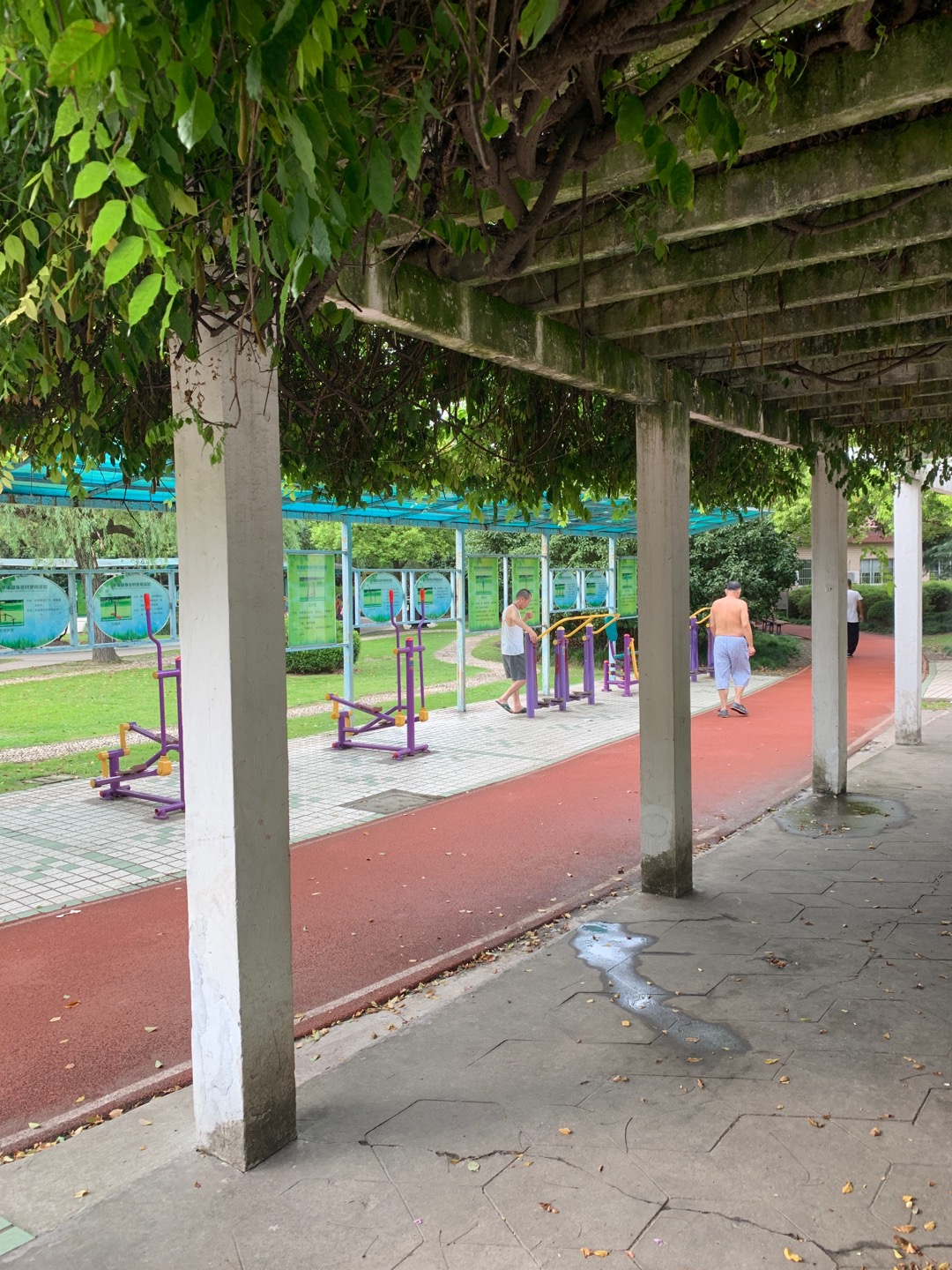 振新花苑健身苑（十村居委）