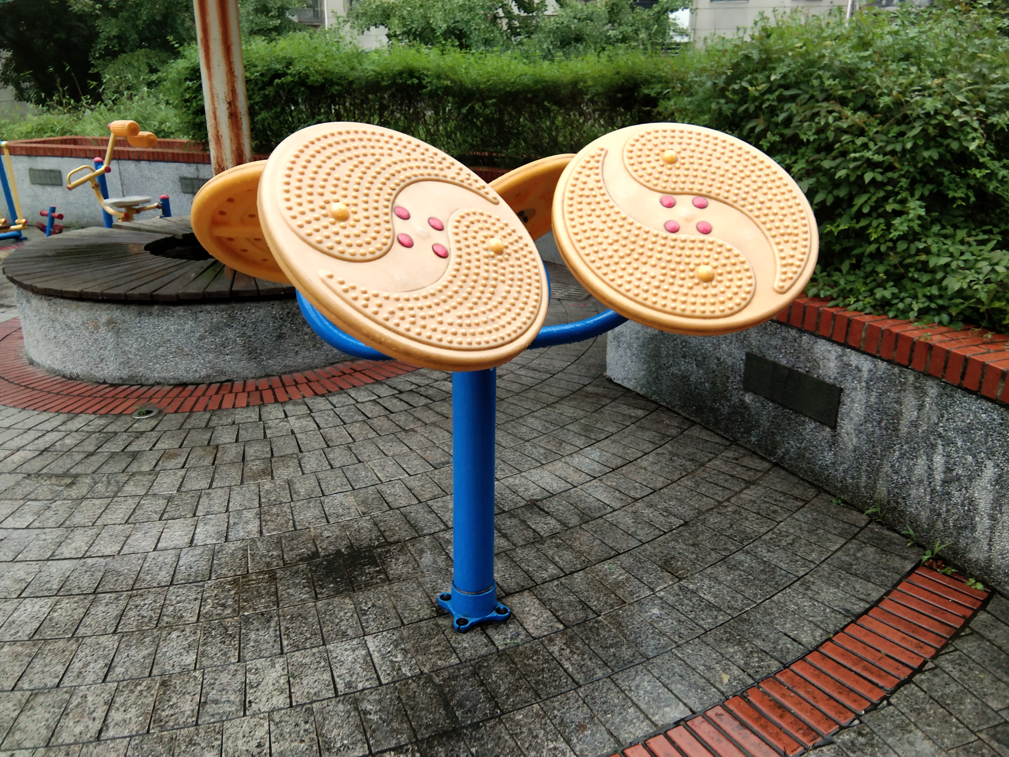 太極推手 太極推手