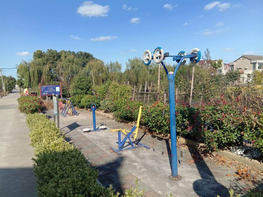 星光村8組1133號(hào)1室前健身路徑