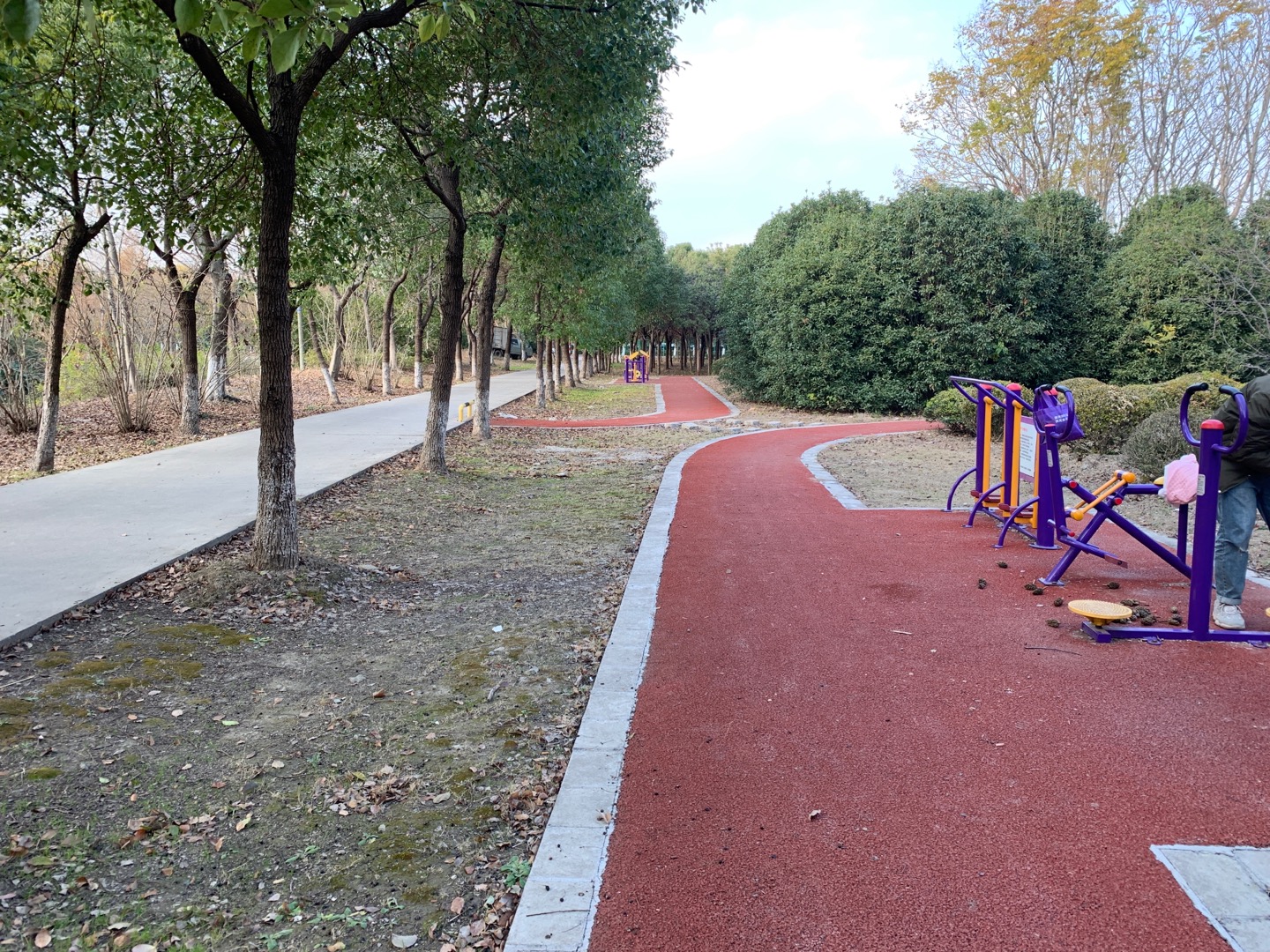 大治路市民健身步道