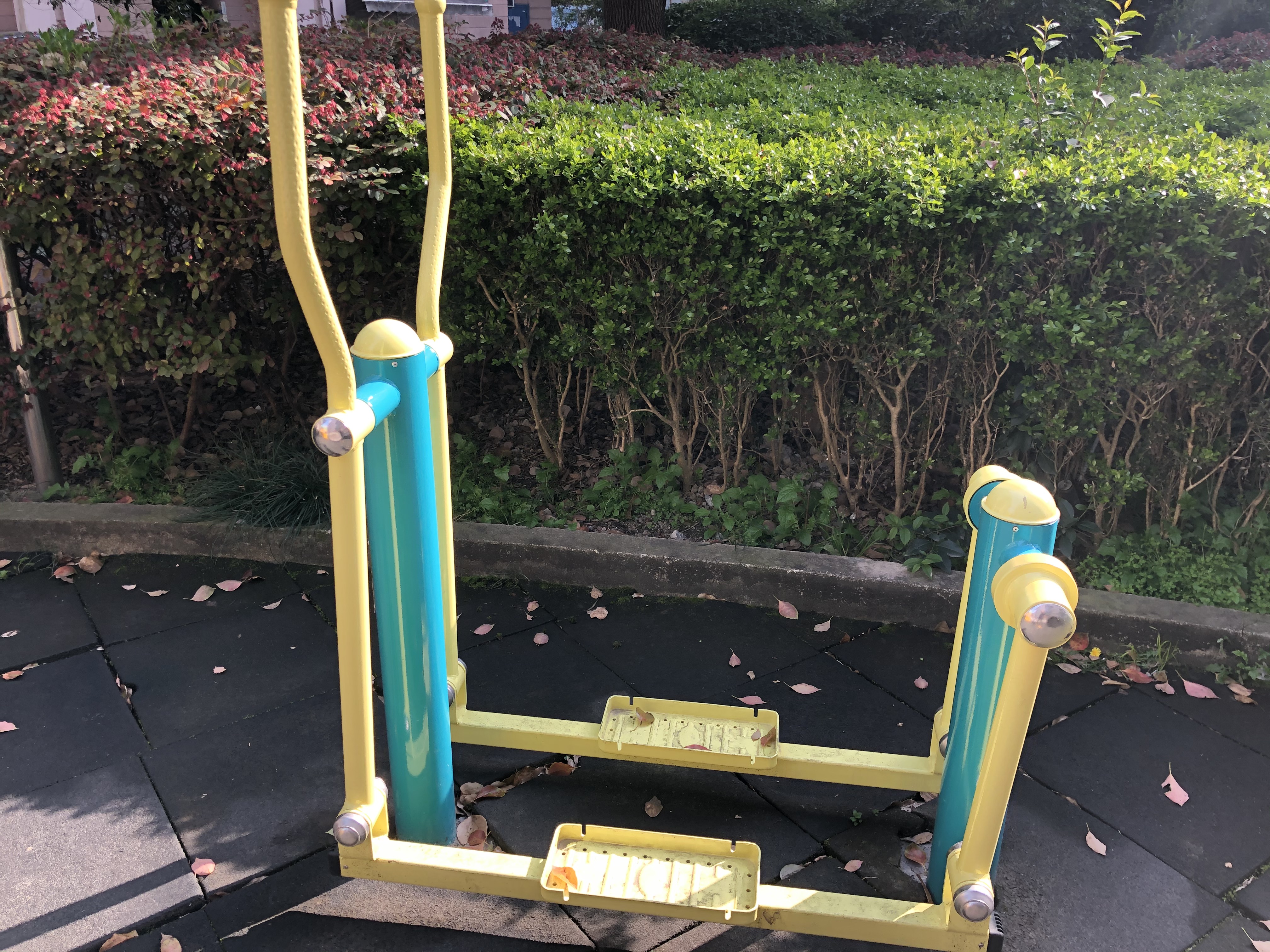 東方龍?jiān)方∩睃c(diǎn)