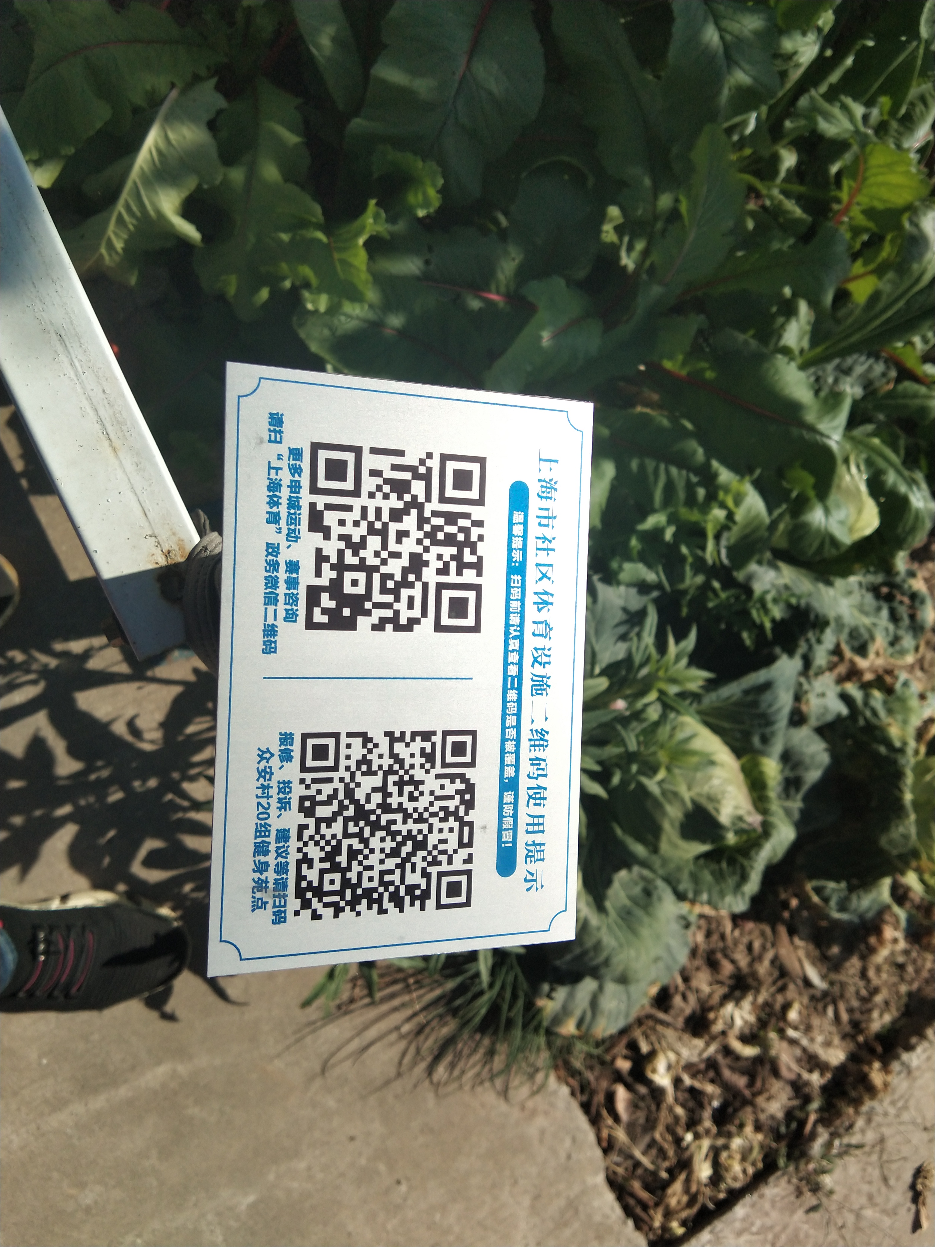 眾安村20組健身苑點(diǎn)