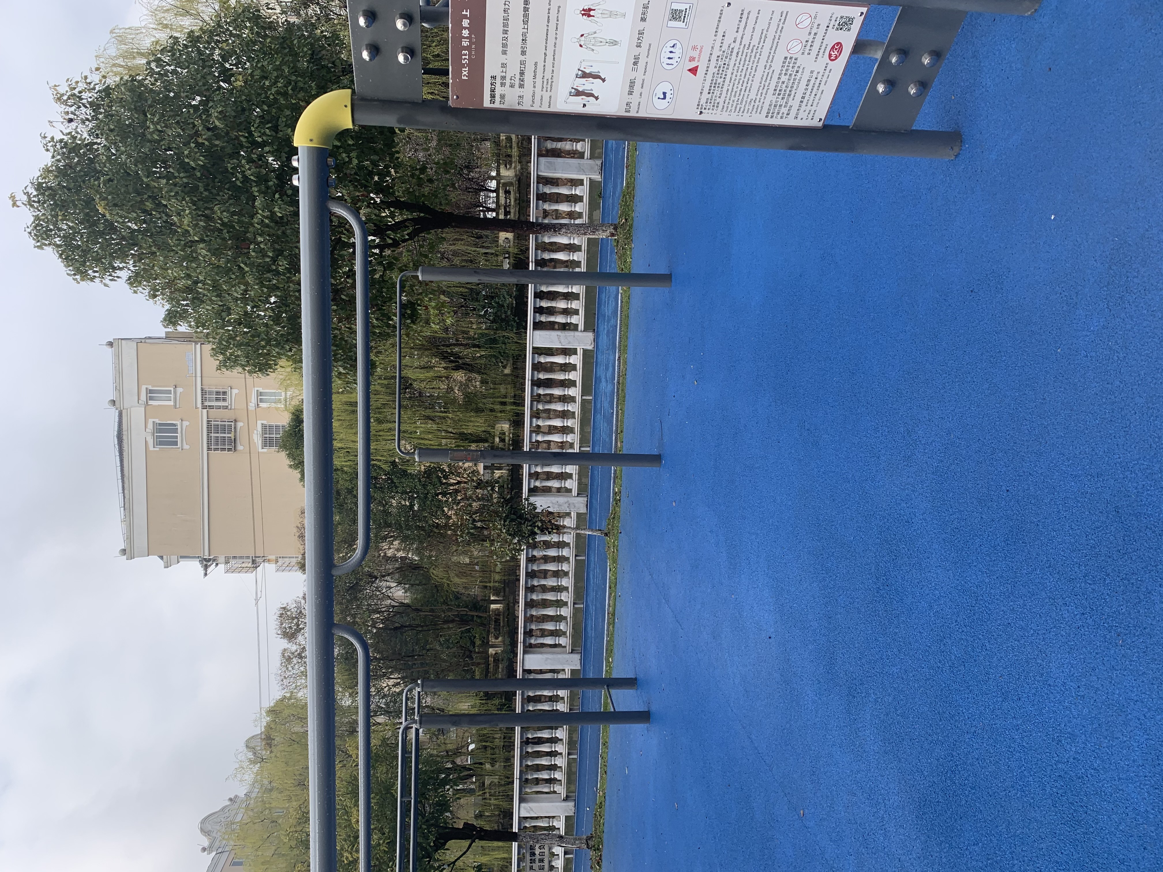 引體向上 引體向上