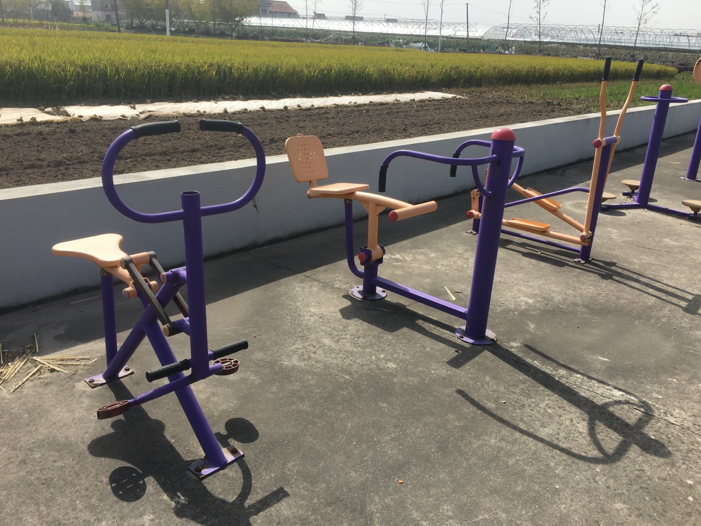 老港鎮(zhèn)大河村民委員會港南3組健身苑點