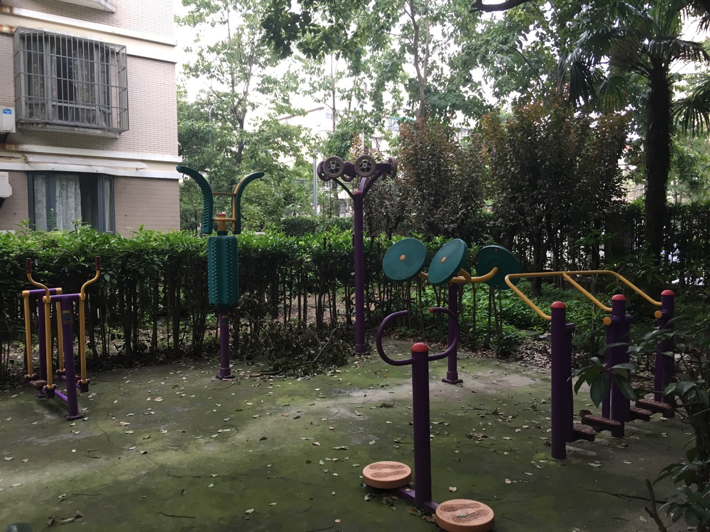 龍柏六村居委金悅健身苑點