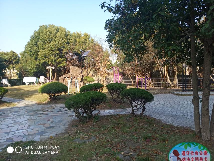 共和九村健身苑點一