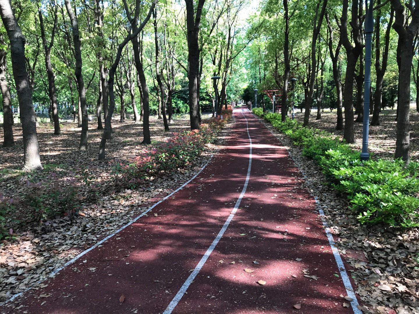 新豐村健身步道