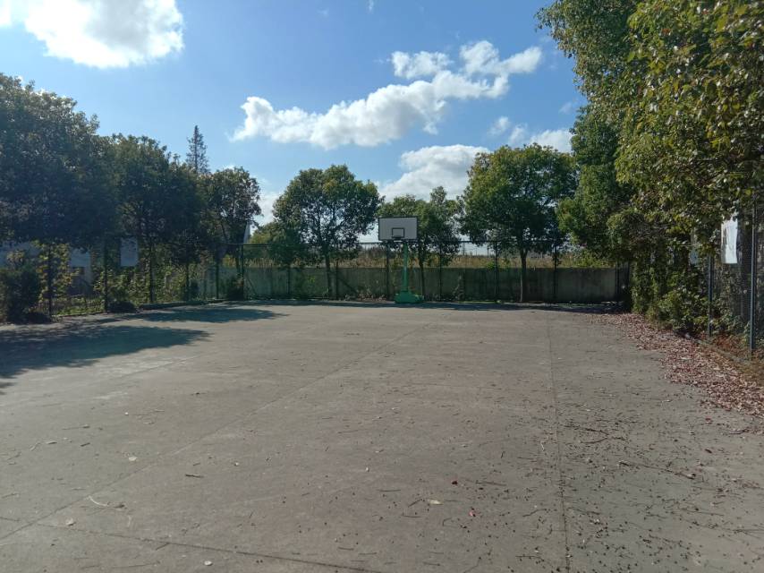 陳胡村籃球場(chǎng)