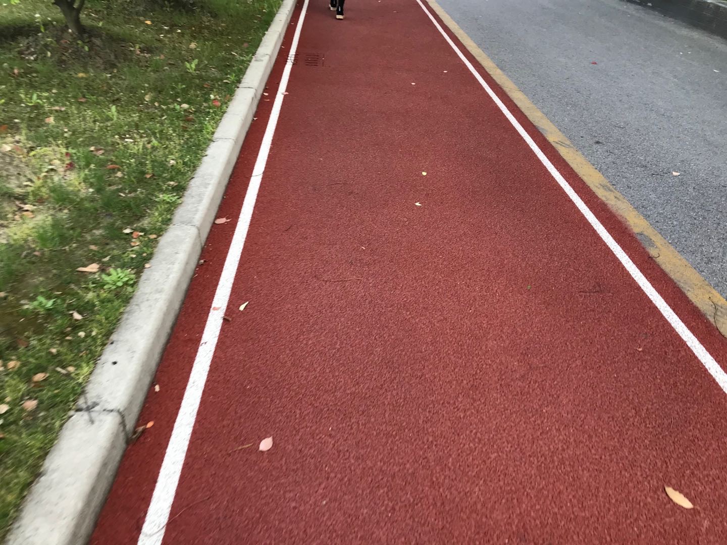 三林體育中心健身步道