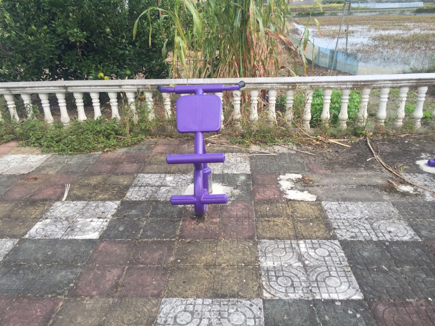 背肌訓(xùn)練器