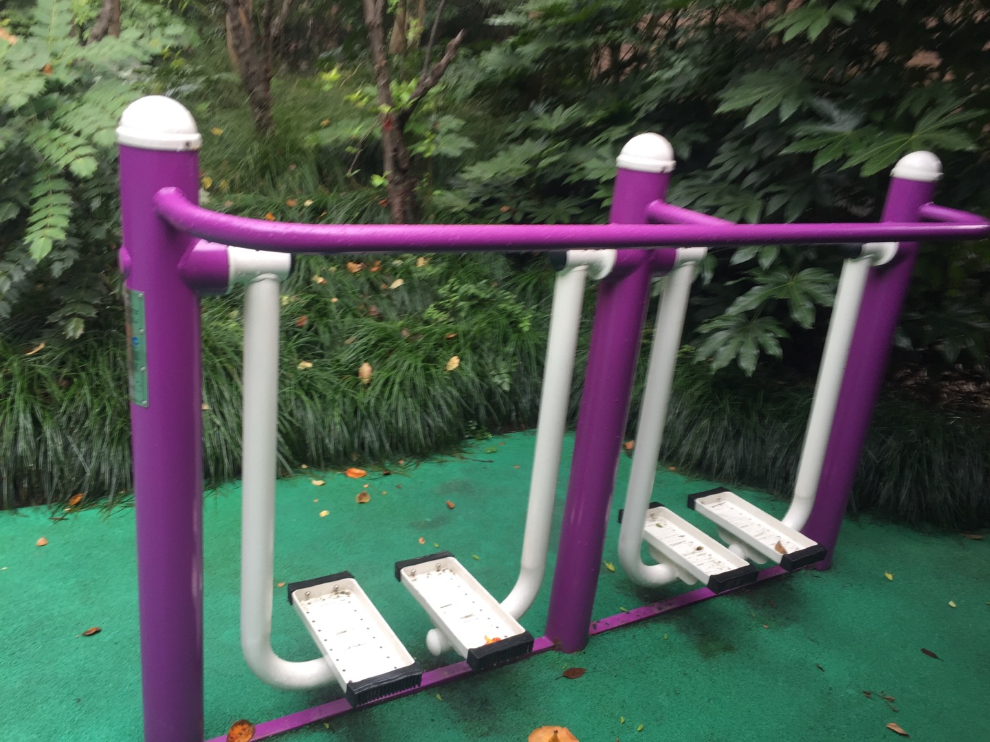 雙位漫步機(jī) 雙位漫步機(jī)