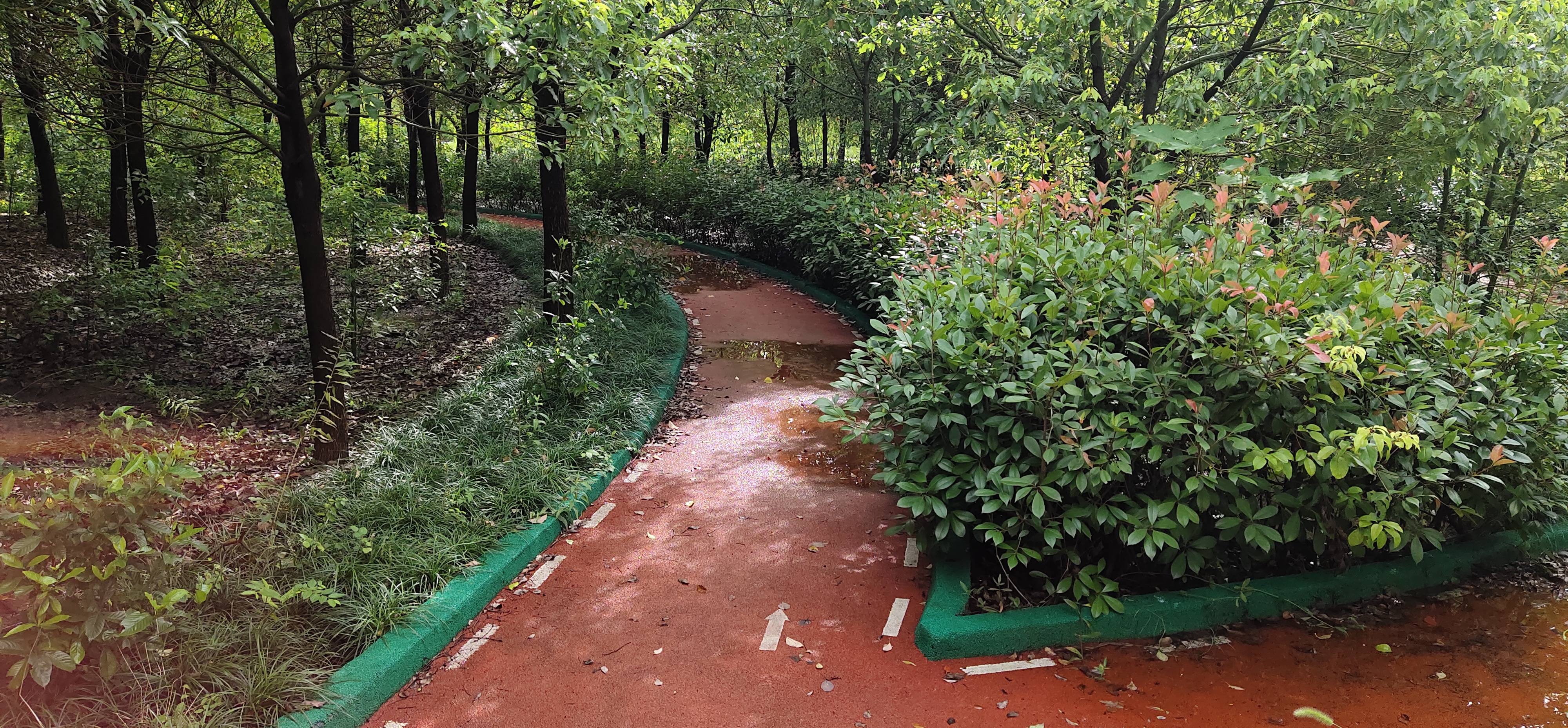 華亭鎮(zhèn)華高路公益林健身步道