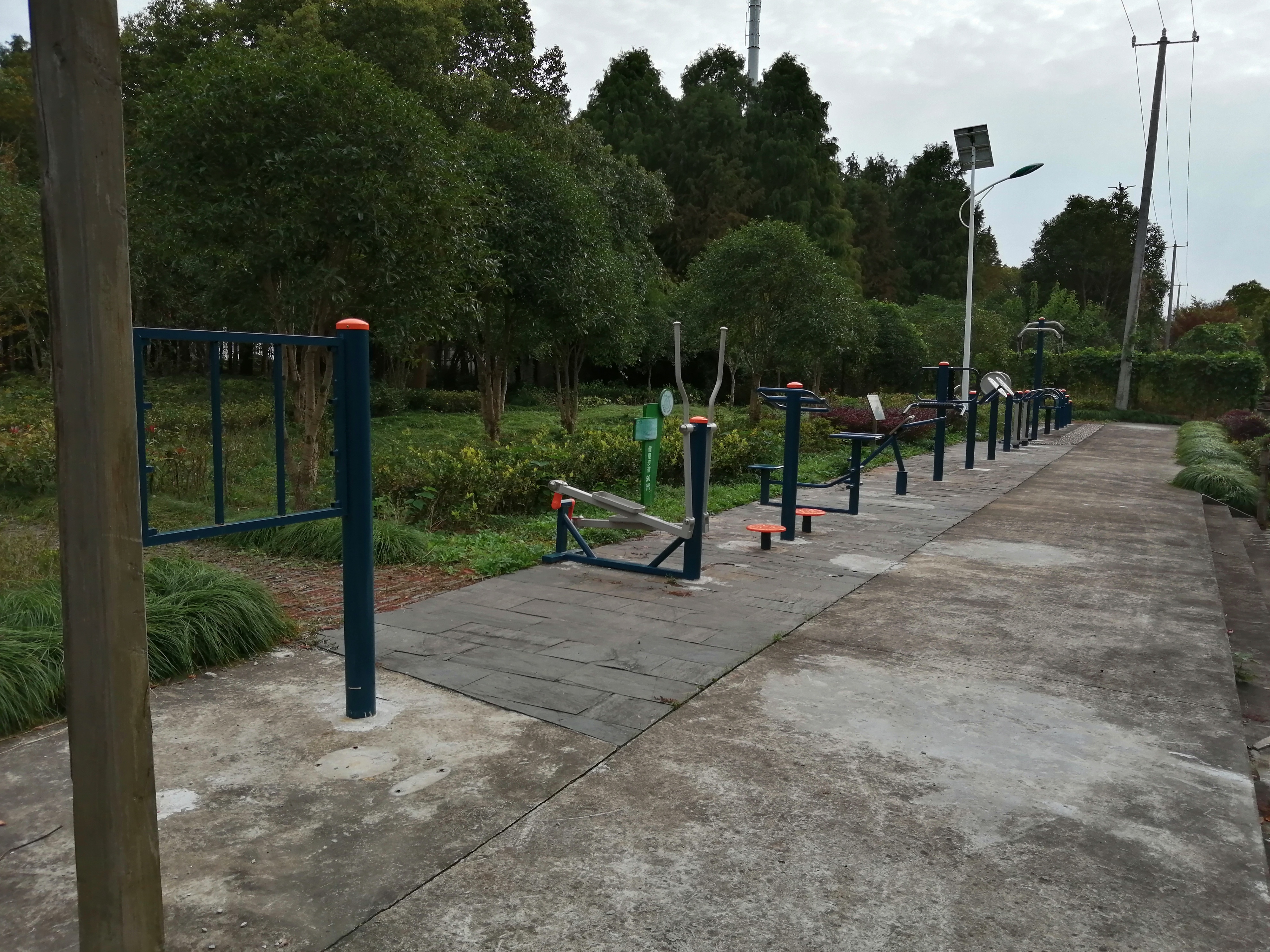 體育公園西道百姓健身步道