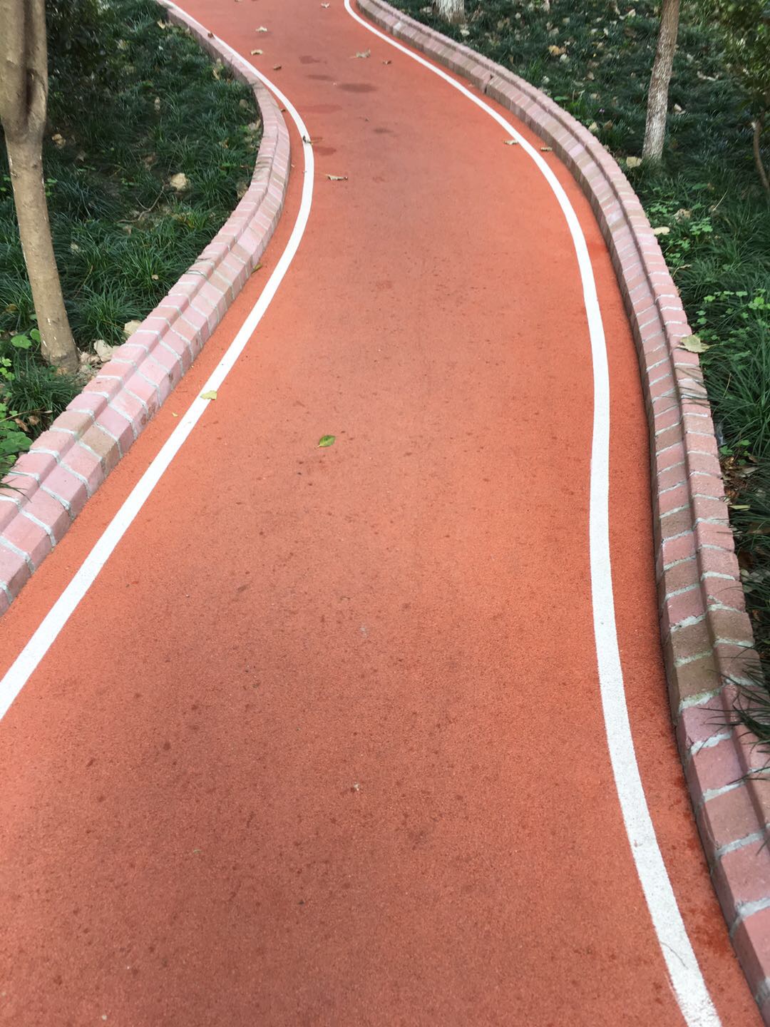 中遠(yuǎn)兩灣城市民健身步道